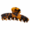 Deep Tortoiseshell