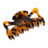 Deep Tortoiseshell